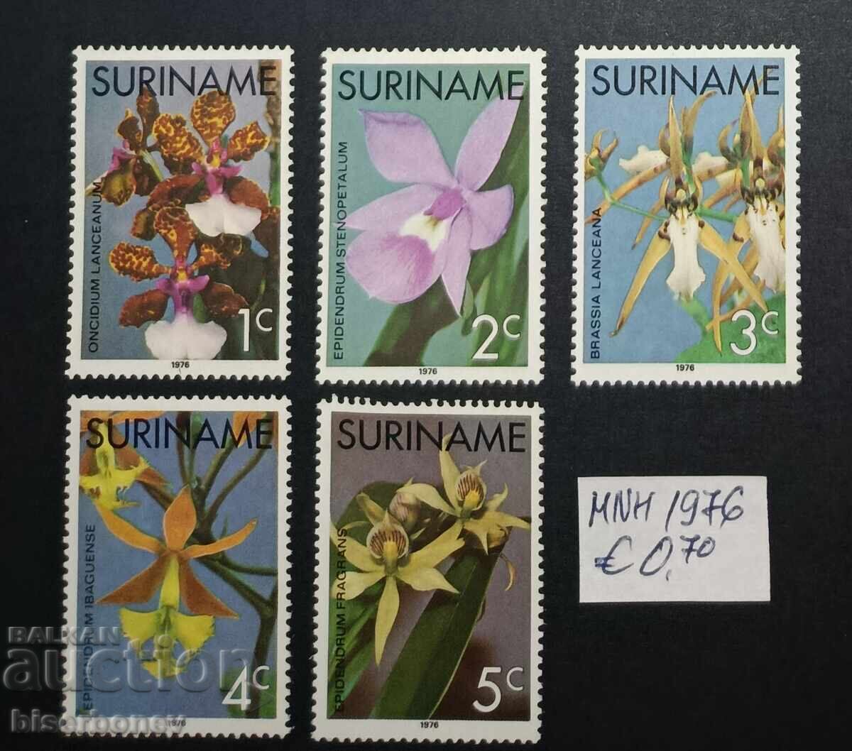 Суринам , 1979 - 1982 г.  чисти гърбове