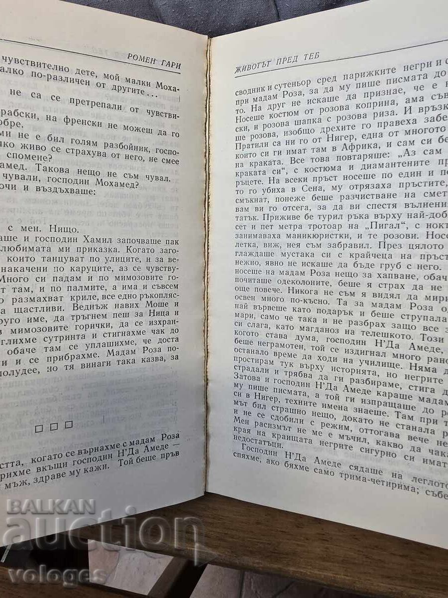 Licitație Mare iubitor de afecțiune