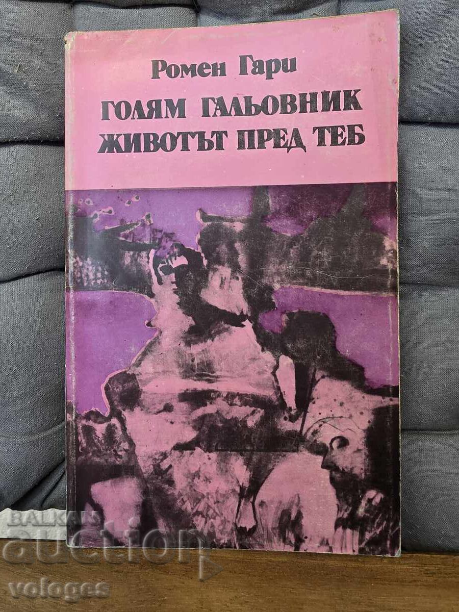 Mare iubitor de afecțiune