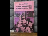 Μεγάλο γατάκι που ζητάει χάδια
