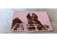 Postcard Cairo The Sphinx