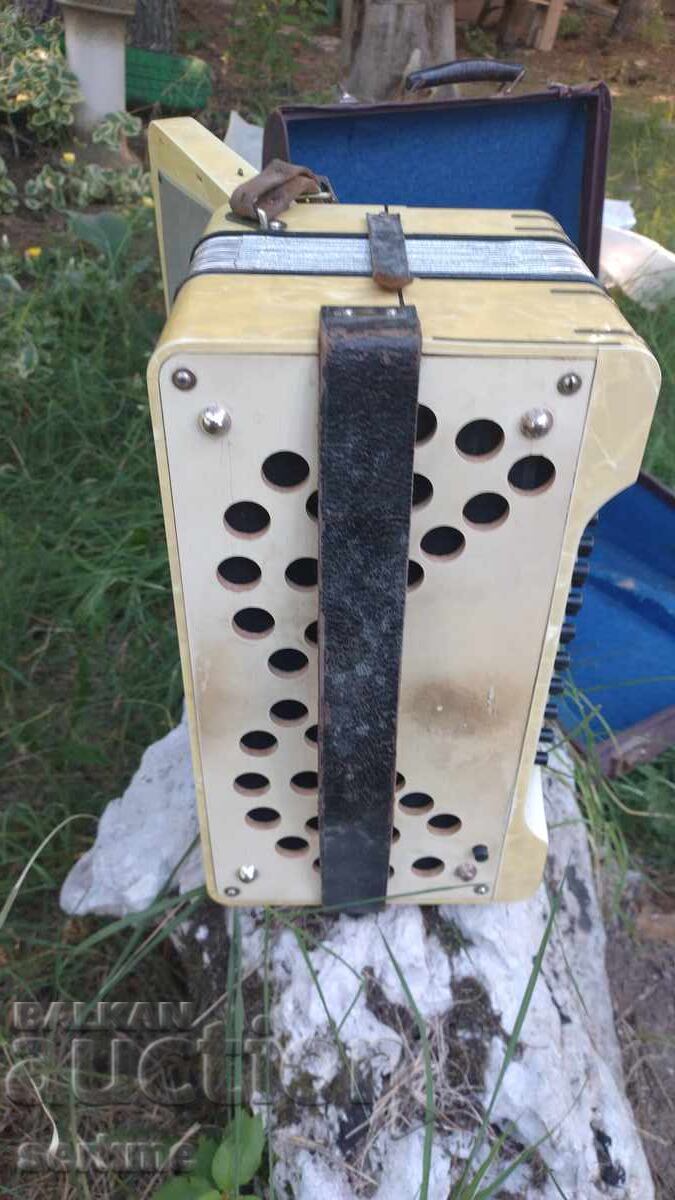 Auction  Accordion