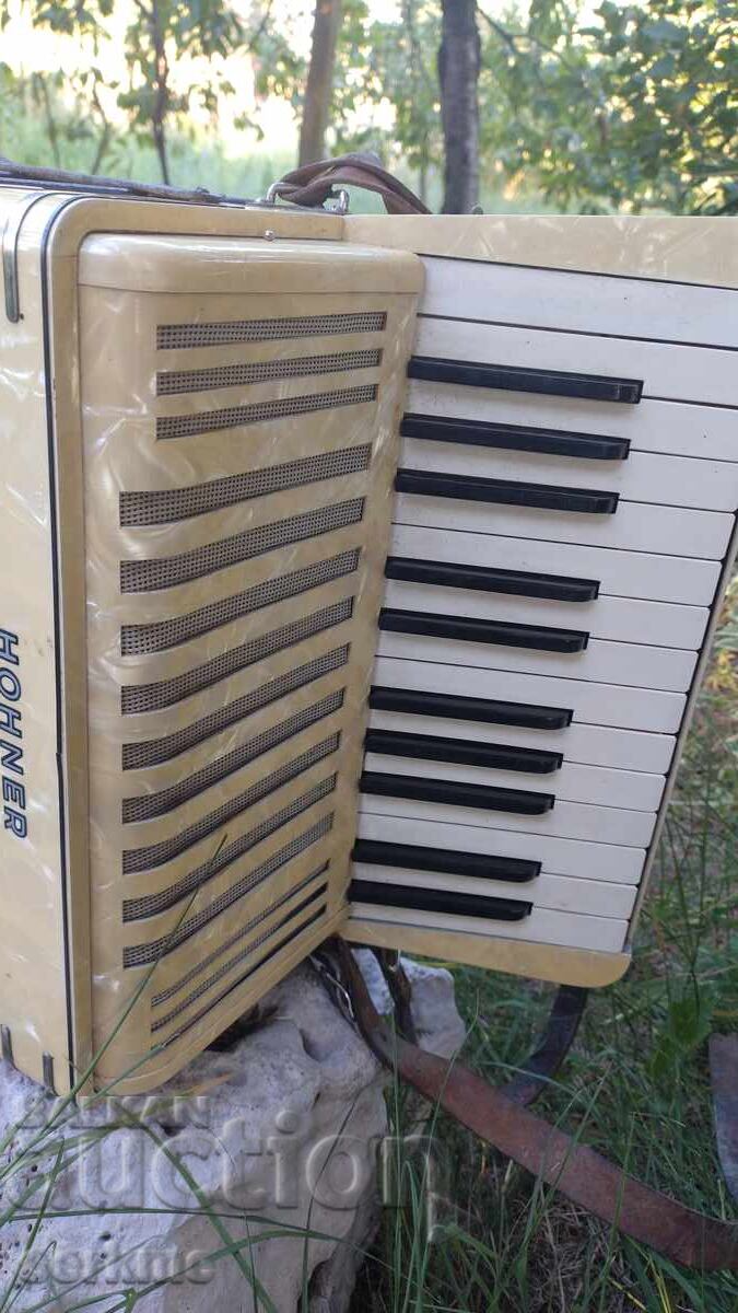 Accordion - 5