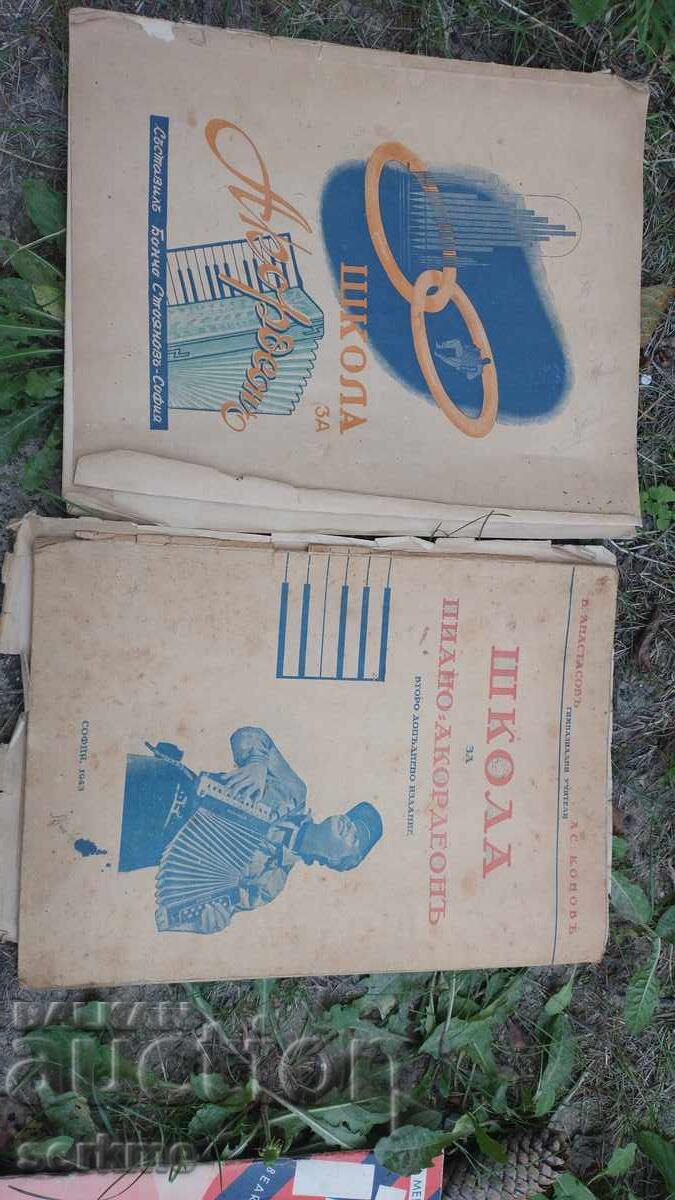 Accordion - 7