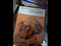 Μπρούγκελ Φέλιξ Τίμερμανς