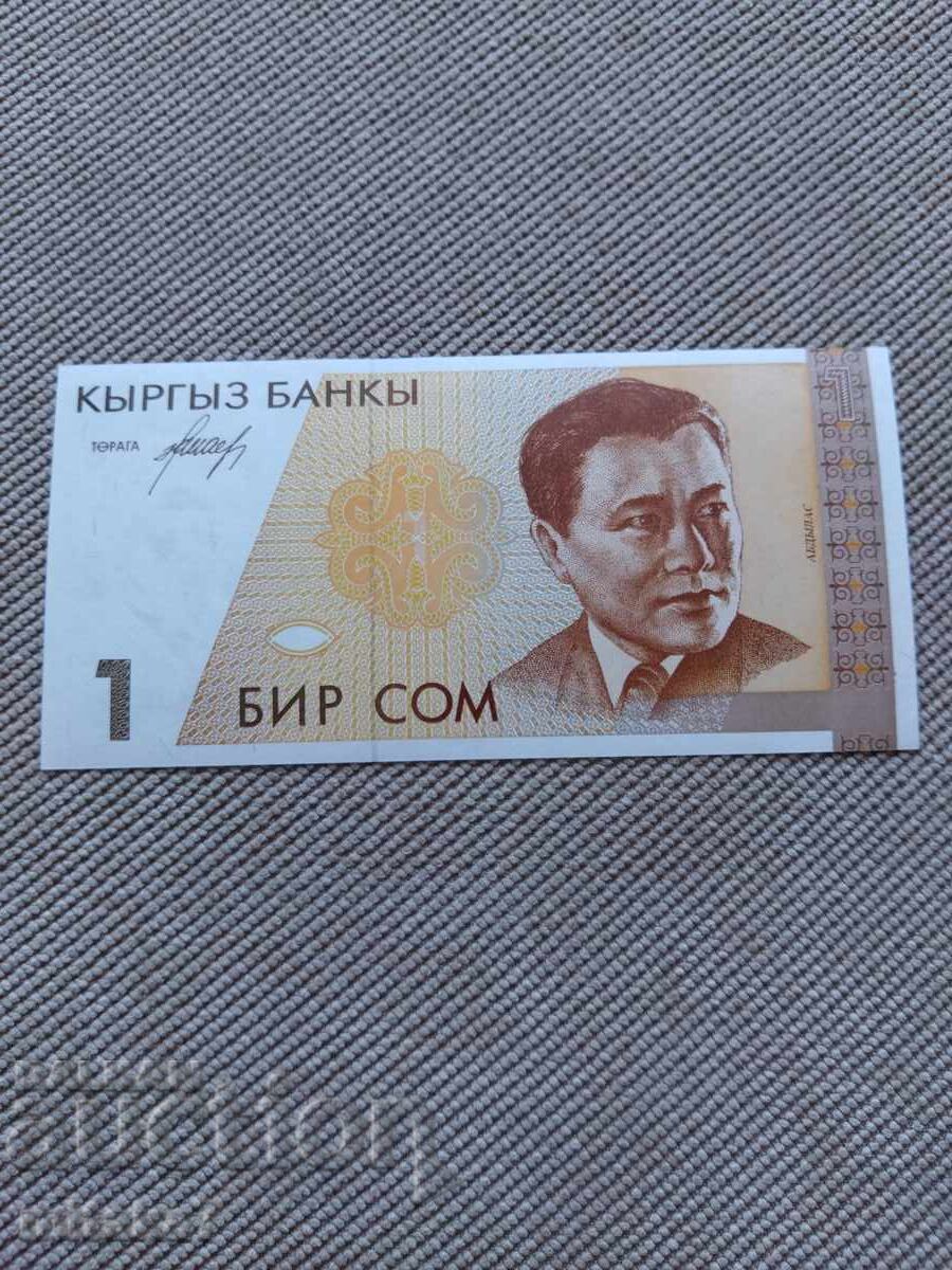 1 som 1994 έτος, Κιργιστάν