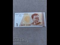 1 som 1994 έτος, Κιργιστάν