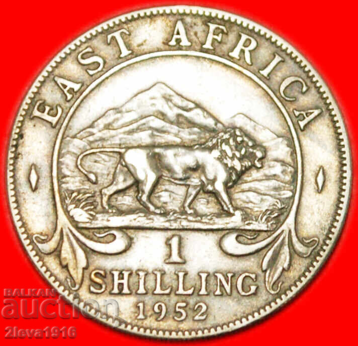 GREAT BRITAIN: EAST AFRICA★1 SHILLING 1952! George VI 1937-