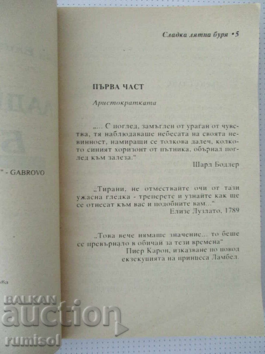 Аукцион Сладка лятна буря - Еми Елизабет Сандерс