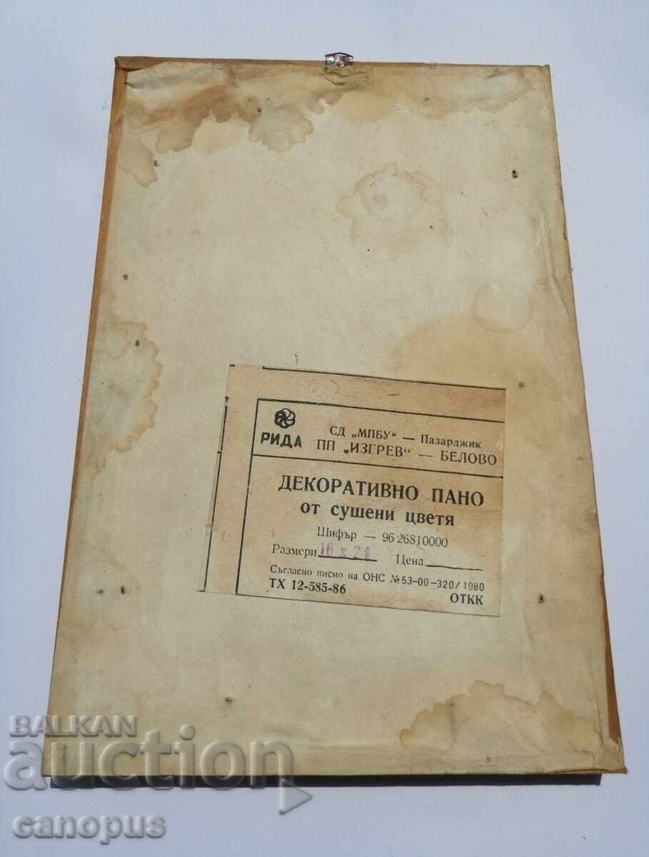 Παλιό πάνελ με αποξηραμένα λουλούδια - Πίνακας ερμπάριο 1980 - 5