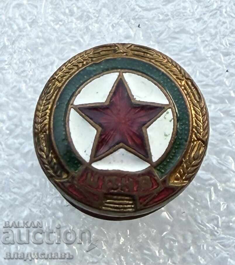 Auction  Football badge early Socialist CDNV Sofia enamel screw-back 1950
