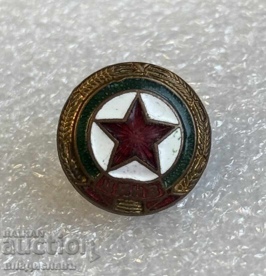 Delivery of Football badge early Socialist CDNV Sofia enamel screw-back 1950