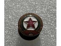 Wounded badge Soc. CDNV / CSKA Sofia enamel screw-back 1950