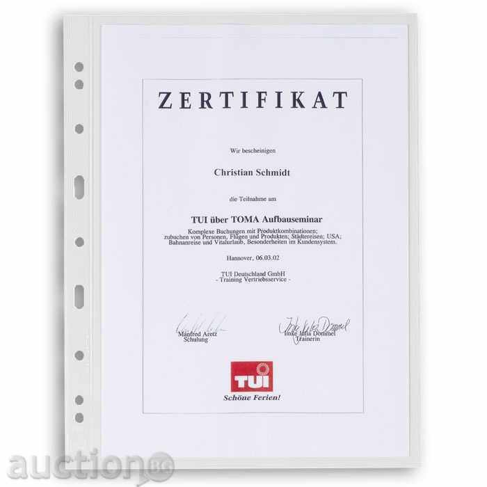 Banknote sheets for albums from the Grande system transparent C2 - 7