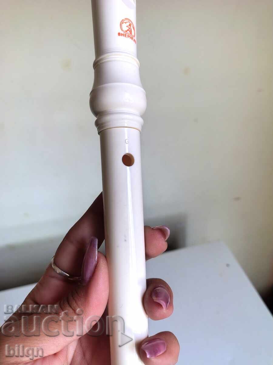 Delivery of Recorder - Shepherd