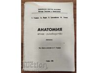 АНАТОМИЯ - АТЛАС - РЪКОВОДСТВО НСА