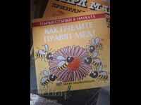 Как пчелите правят мед - Първи стъпки в науката