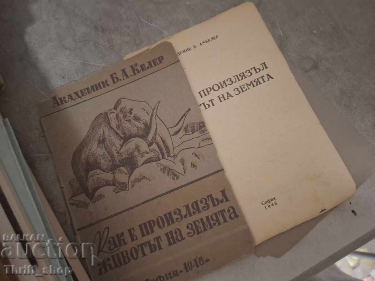 Как е произлязъл животът на земята с цена 0.01 €