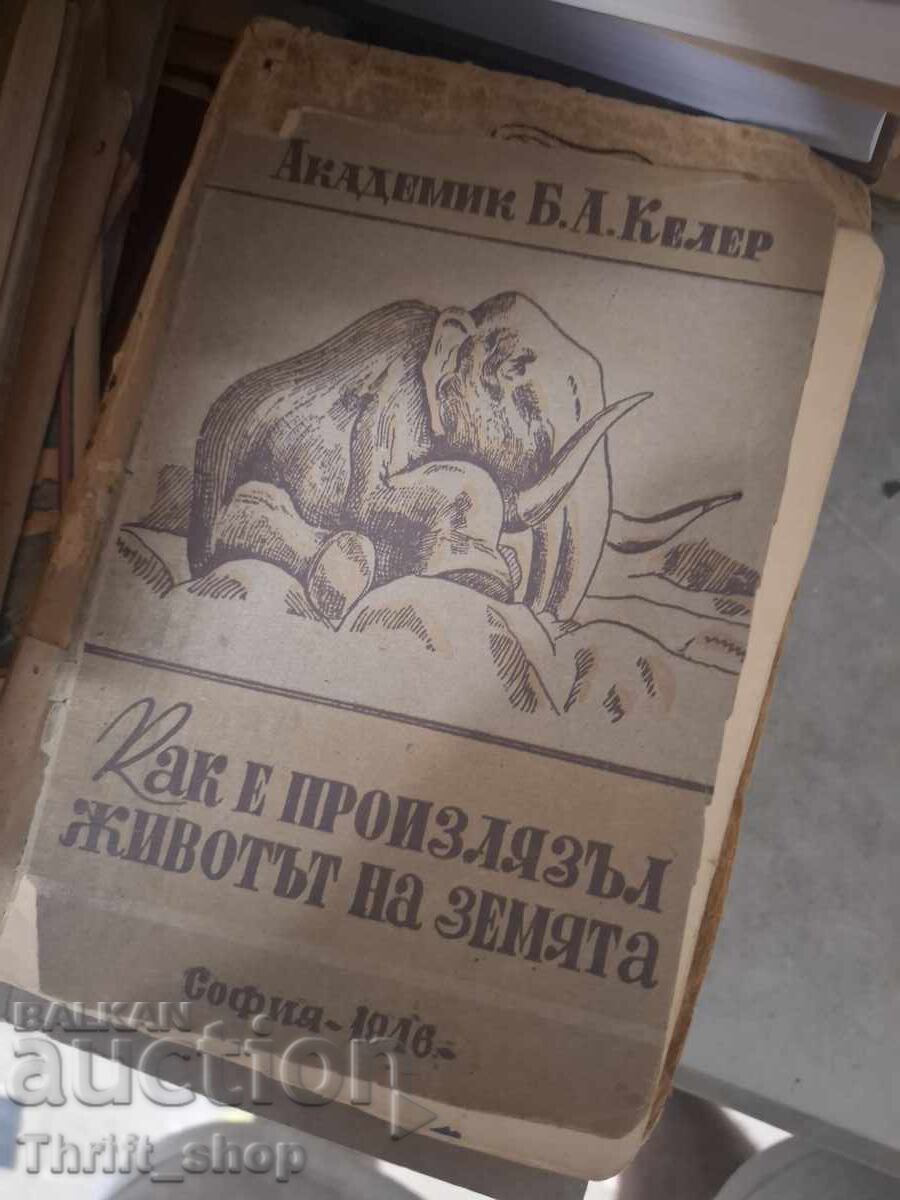 Как е произлязъл животът на земята