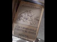 Как е произлязъл животът на земята