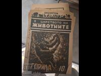 În regatul animalelor - Gorilă 10