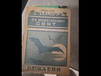Из животинския свят - прилепи