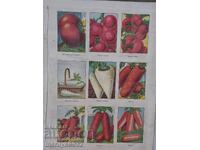 Advertising material 3 pcs in a frame Sortovi Semena store