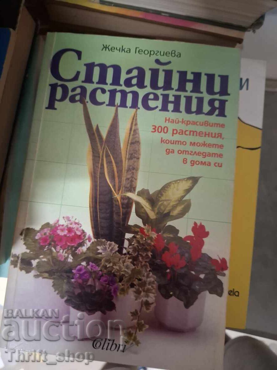 Φυτά εσωτερικού χώρου