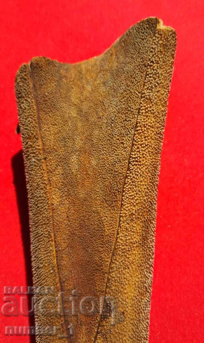 Corn de Marlin Negru cu preț 90.00 €