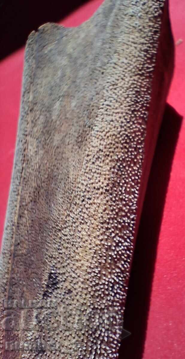 Corn de Marlin Negru - 7