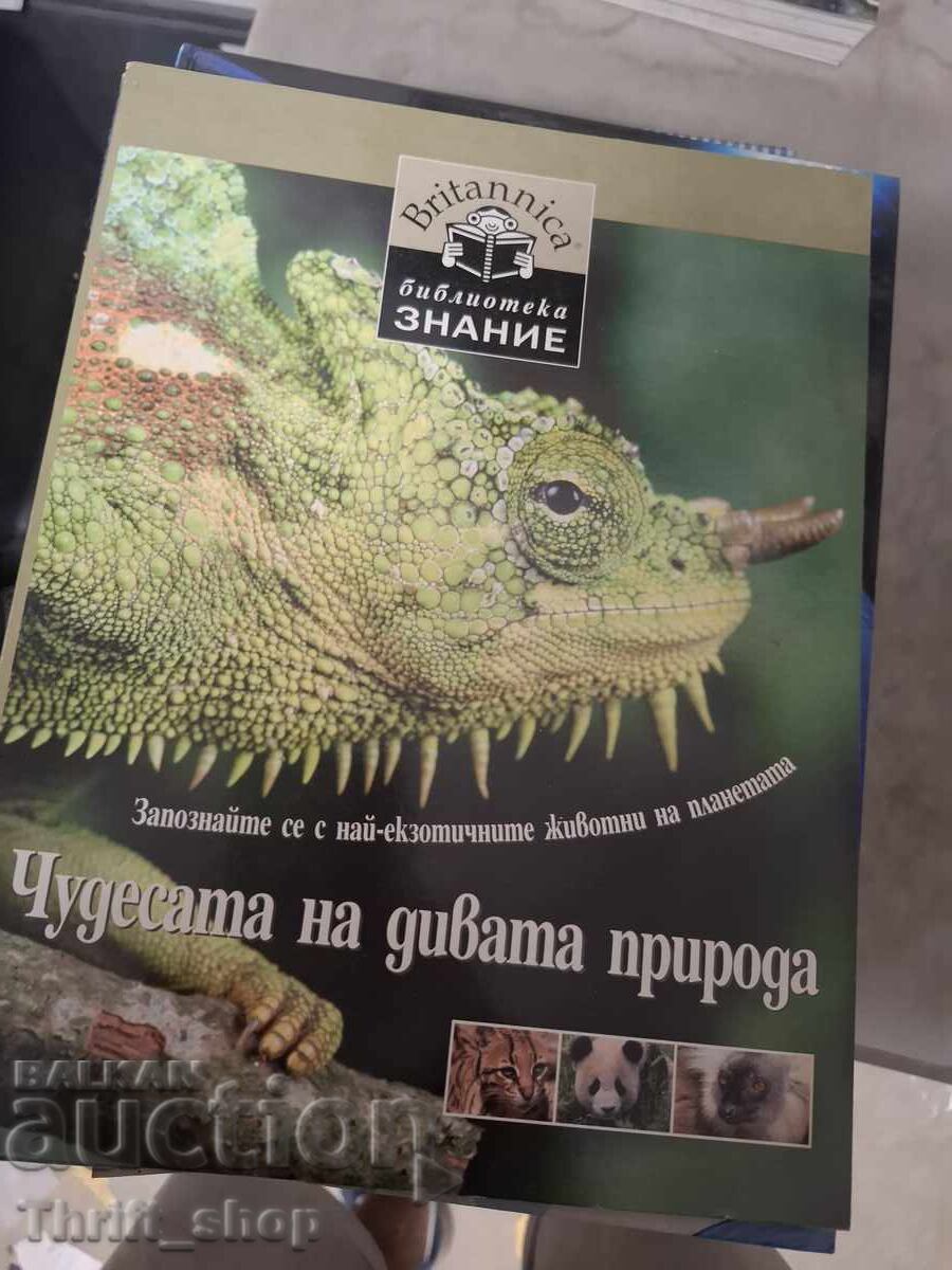 Τα θαύματα της άγριας φύσης