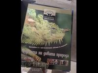 Τα θαύματα της άγριας φύσης