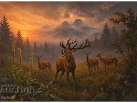 Red deer with hinds /rutting season/. Malyovitsa, autumn