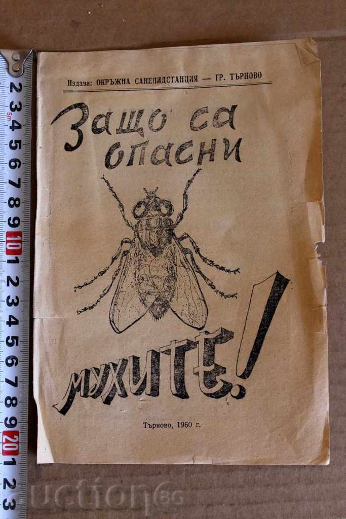 1960 ΚΑΤΑ ΤΩΝ ΜΥΓΩΝ! ΓΙΑΤΙ ΕΙΝΑΙ ΕΠΙΚΙΝΔΥΝΕΣ ΟΙ ΜΥΓΕΣ ΦΥΛΛΑΔΙΟ