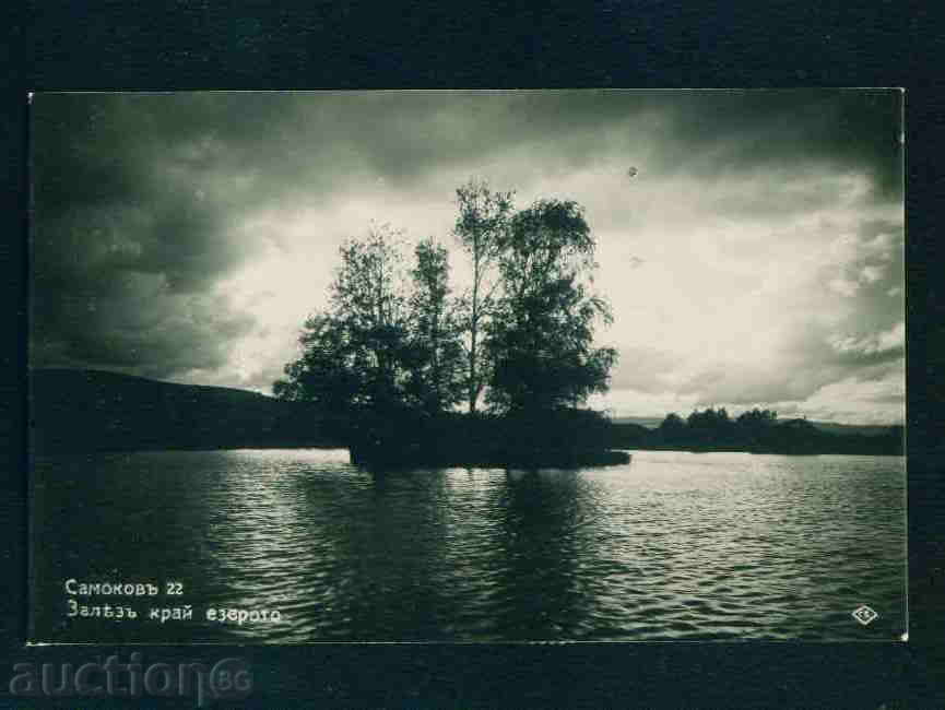 SAMOKOV - KARTICHKA Bulgaria postcard SAMOKOV 392 with price 3.00 BGN | € 1.53 SAMOKOV - KARTICHKA Bulgaria postcard SAMOKOV 392 with price 3.00 BGN | € 1.53