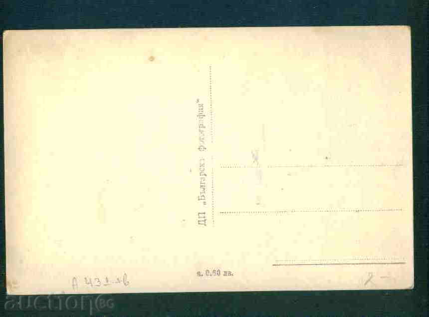 Auction KOLAROVGRAD - CARD BULGARIA Bulgaria postcard SHUMEN 431 Auction KOLAROVGRAD - CARD BULGARIA Bulgaria postcard SHUMEN 431