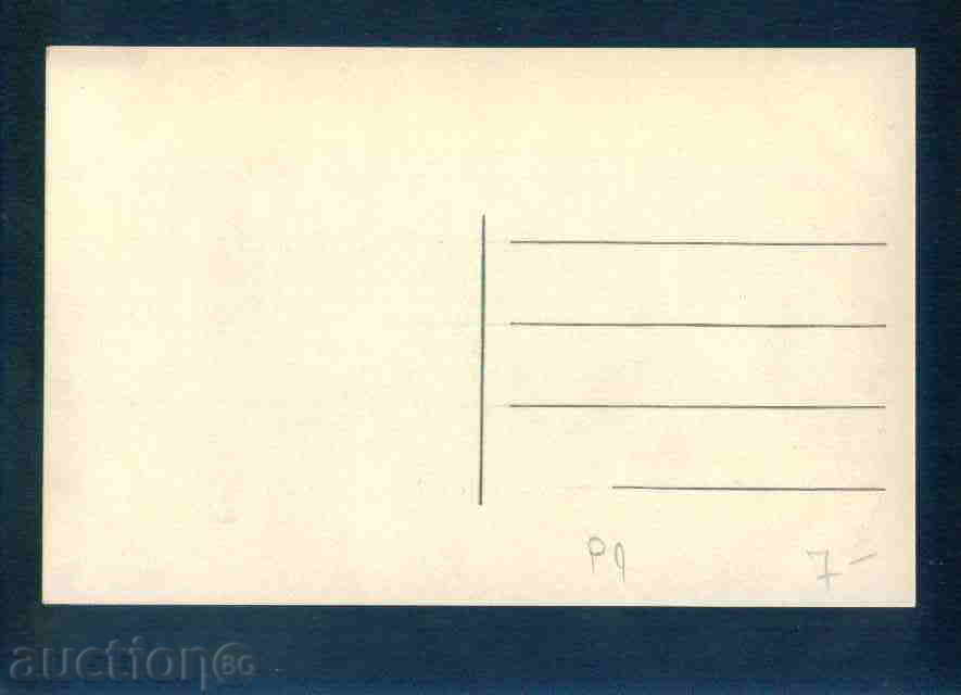 Licitație PLEVEN - CARD Bulgaria carte poștală PLEVEN P1