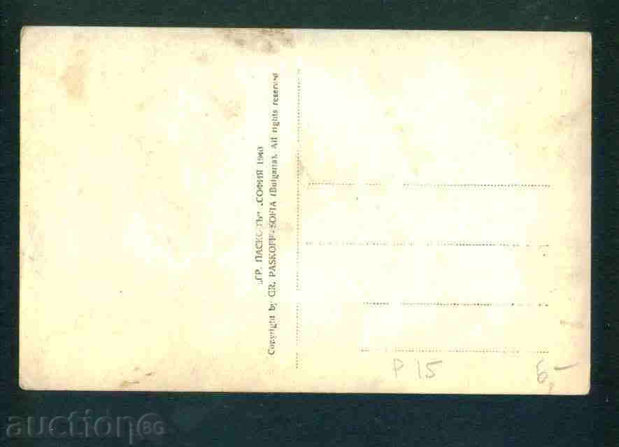 Licitație PLEVEN - CARD Bulgaria carte poștală PLEVEN P15