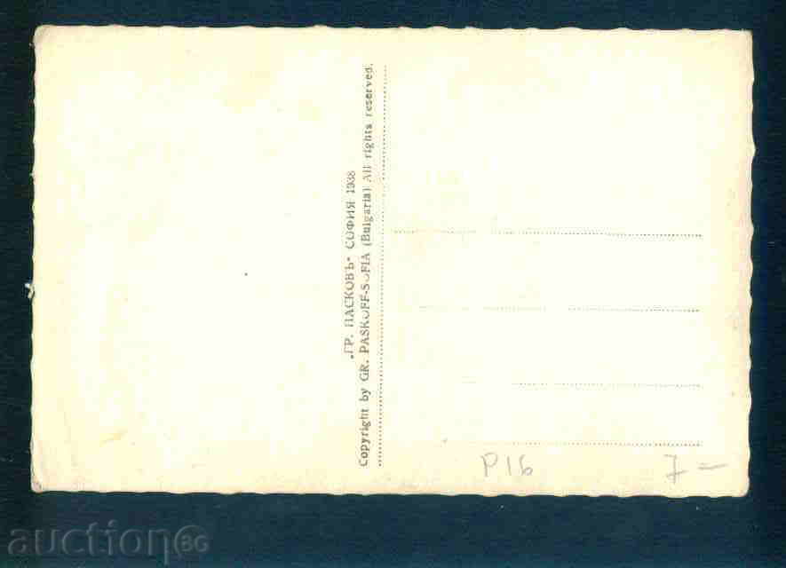 Auction  ПЛЕВЕН - КАРТИЧКА Bulgaria postcard PLEVEN P16