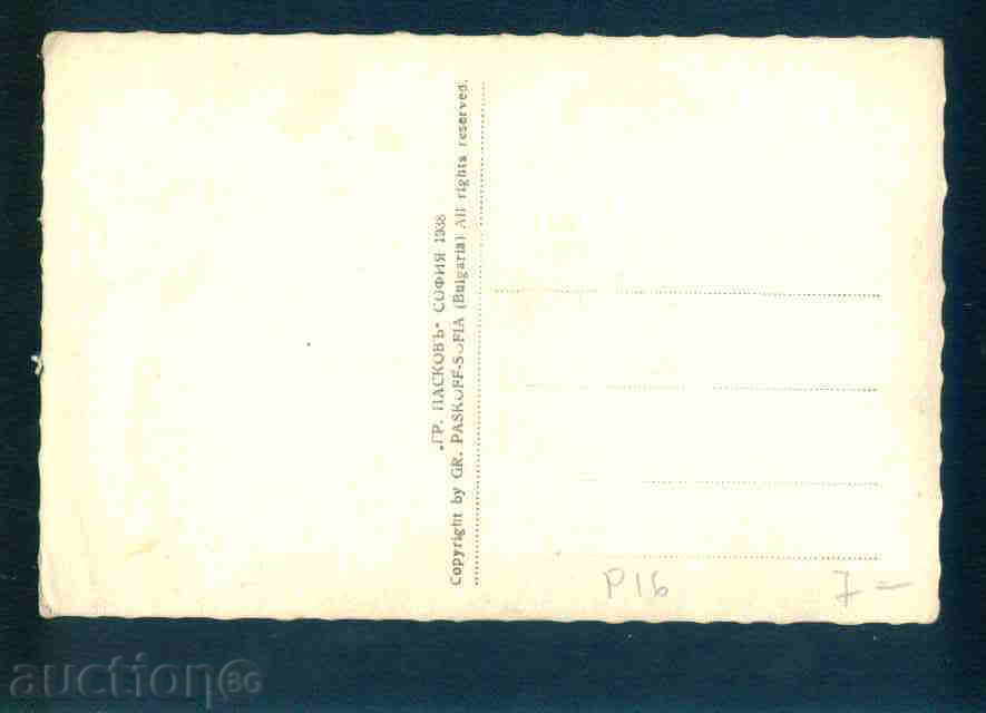 Licitație PLEVEN - CARD Bulgaria carte poștală PLEVEN P16
