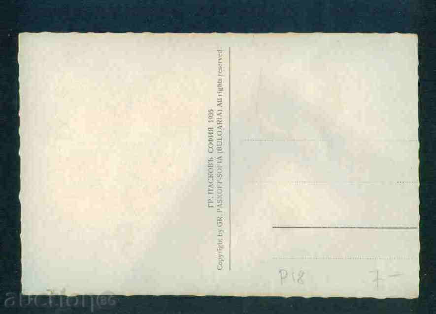Auction ПЛЕВЕН - КАРТИЧКА Bulgaria postcard PLEVEN P18 Auction ПЛЕВЕН - КАРТИЧКА Bulgaria postcard PLEVEN P18