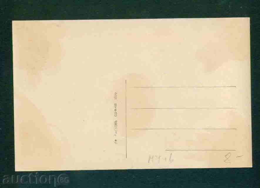 Auction  ПЛЕВЕН - КАРТИЧКА Bulgaria postcard PLEVEN M4