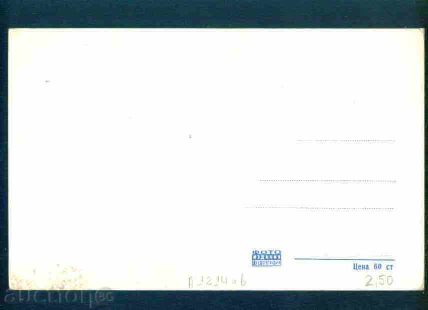 Auction  TROYAN card Bulgaria postcard TROYAN / A 1214