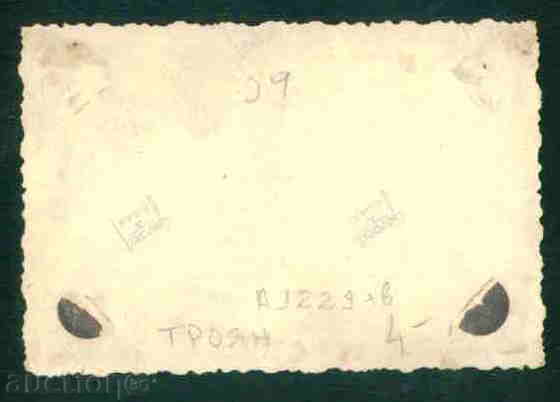 Auction  TROYAN photo Bulgaria photo TROYAN / A 1229