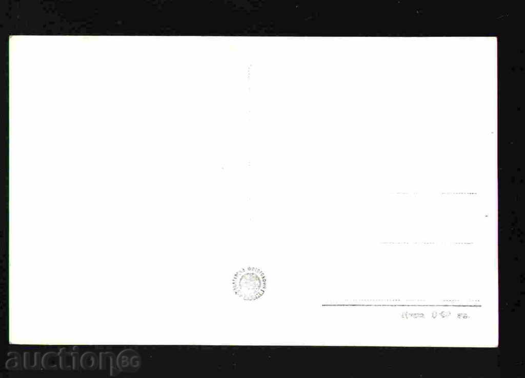 Auction VELINGRAD - KARTICHKA Bulgaria postcard VELINGRAD 29658 Auction VELINGRAD - KARTICHKA Bulgaria postcard VELINGRAD 29658