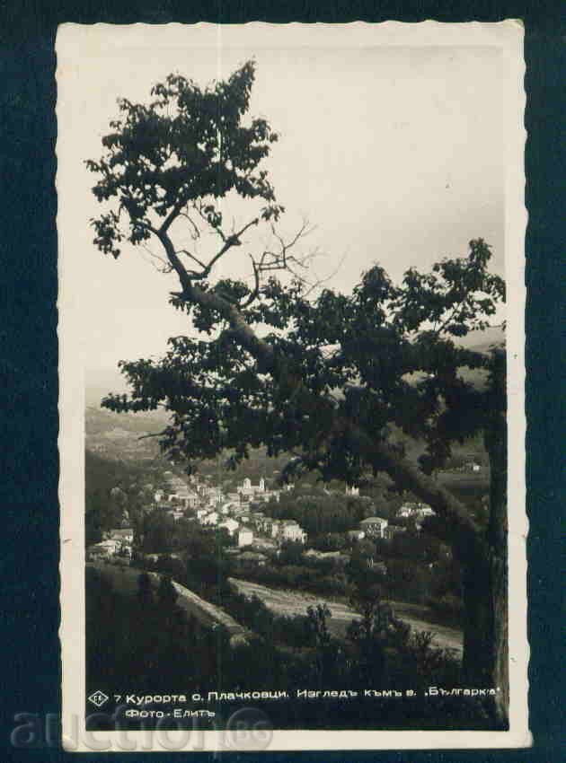 PLATCHKOVZI / A1315 postcards Bulgaria postcard PLATCHKOVTZI / A1315 with price 12.00 BGN | € 6.14 PLATCHKOVZI / A1315 postcards Bulgaria postcard PLATCHKOVTZI / A1315 with price 12.00 BGN | € 6.14