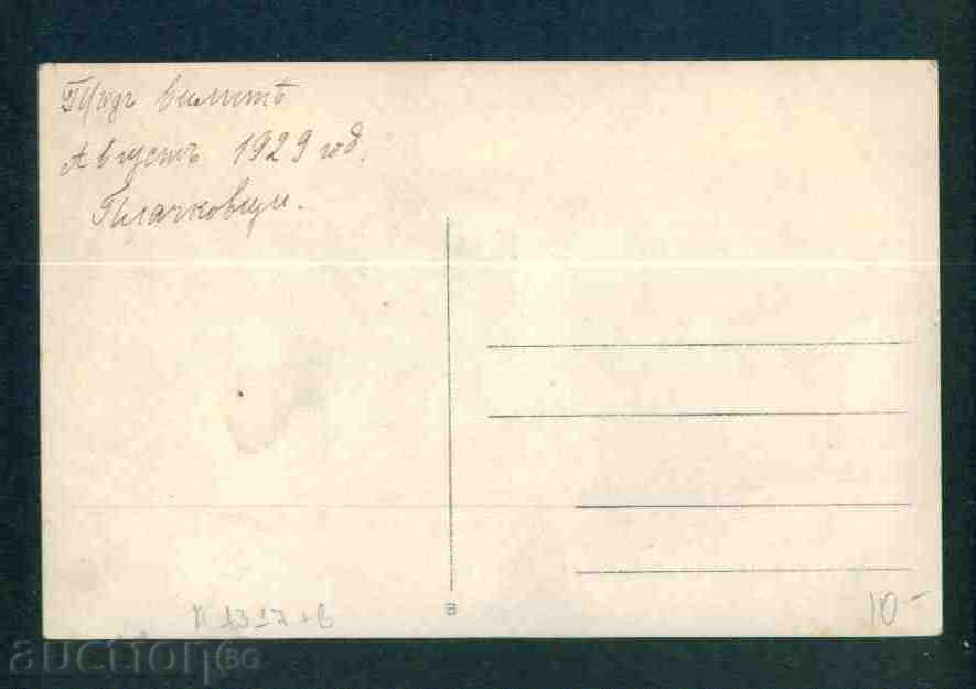 Auction PLACHKOVCI card Bulgaria postcard PLATCHKOVTZI / A1317 Auction PLACHKOVCI card Bulgaria postcard PLATCHKOVTZI / A1317