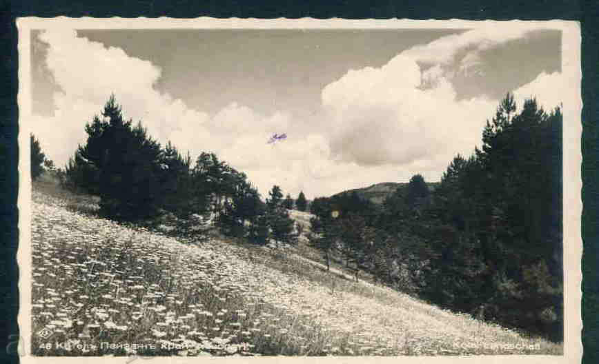 KOTEL card Bulgaria postcard KOTEL / M181 with price 5.00 BGN | € 2.56 KOTEL card Bulgaria postcard KOTEL / M181 with price 5.00 BGN | € 2.56