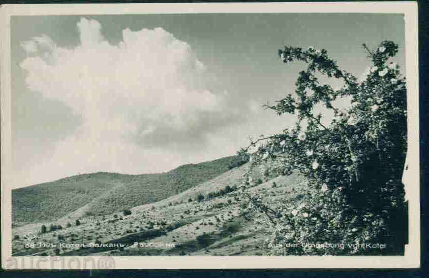 KOTEL card Bulgaria postcard KOTEL / M182 with price 4.00 BGN | € 2.05 KOTEL card Bulgaria postcard KOTEL / M182 with price 4.00 BGN | € 2.05