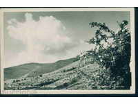 κάρτα BOILER Βουλγαρία καρτ-ποστάλ Kotel / M182